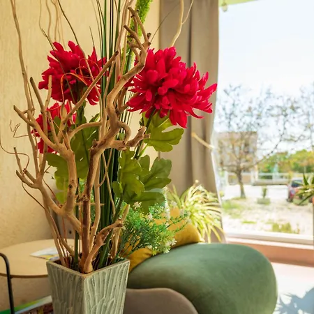 Aparthotel Family Perla 2*